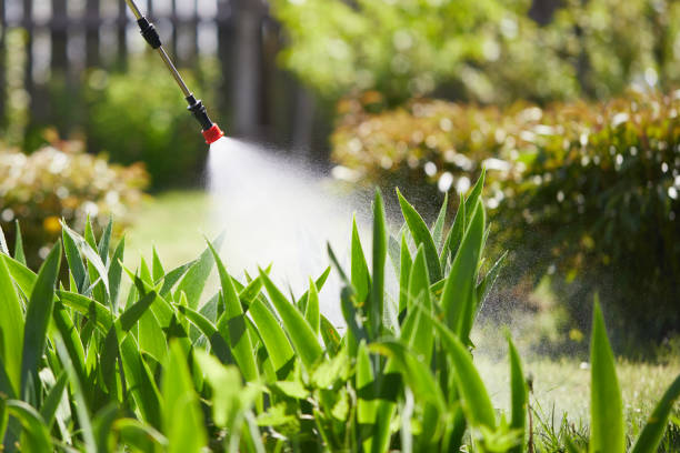 24/7 Emergency Mosquito Control experts in Hawley, PA